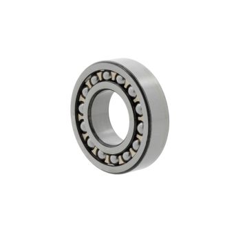 SKF Self-aligning ball bearings 1224  M