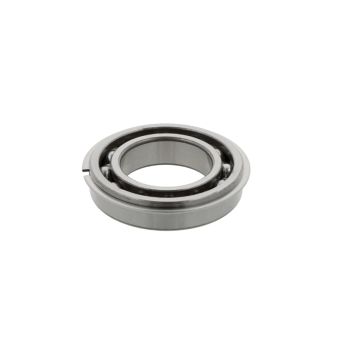 NKE Deep groove ball bearings 6020 -NR