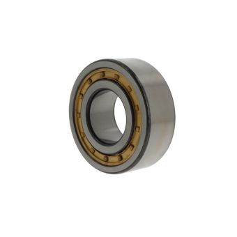 NKE Cylindrical roller bearings NJ2319 -E-M6