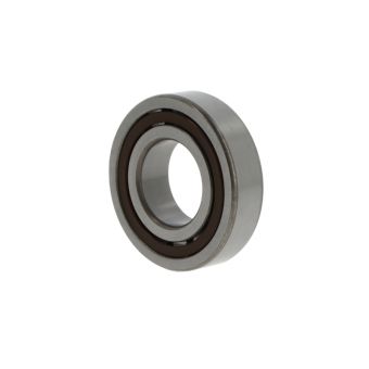 NKE Cylindrical roller bearings NJ2319 -E-M6-C3