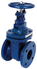 ART 210 BS 10 Cast Iron Table E & D Flanged Gate Valve